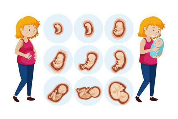 Antenatal Care