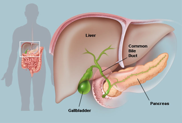 Laparoscopic Specialist Maharashtra